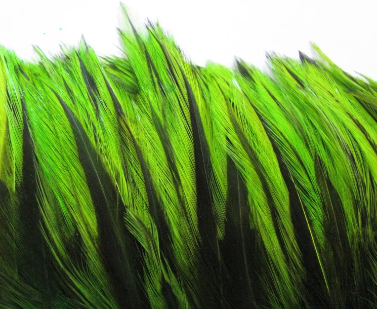 Перо скальпа петуха Баджер флюр шартрез / Attractor Neck Hackle Badger Fl. Chartreuse