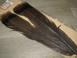 Хвостовые перья индюка Ozark Turkey Tail Cinnamon Tip Wapsi