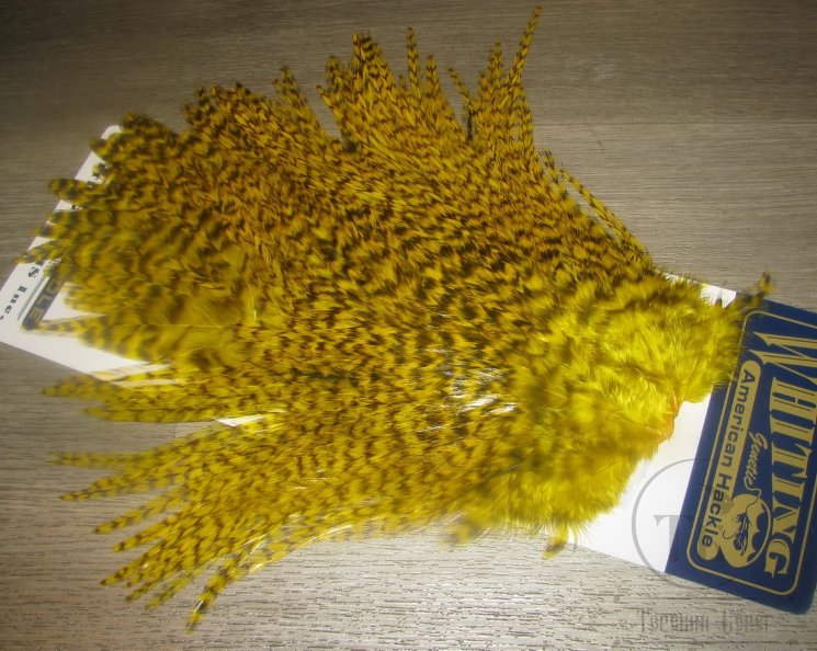 Седло петуха с широким пером Whiting American Grizzly Yellow