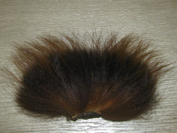 Temple dog Tanuki Brown XL 