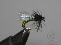 Муха оса (42) Black крючок scud № 8