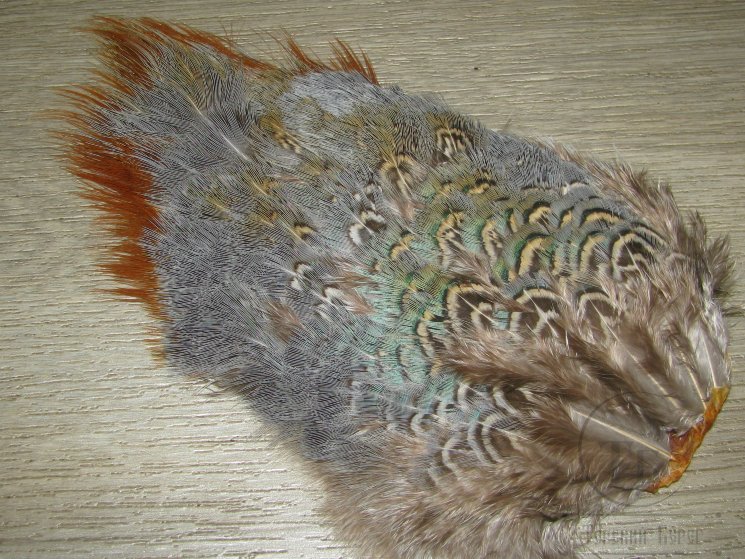 Перья крупа охотничьего фазана Ringneck Rump Patch Natural Wapsi  