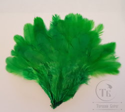 Куриное перо Hen feathers  зелёное