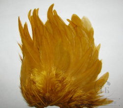 Куриное перо Hen feathers  золотой