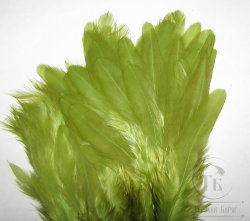 Куриное перо Hen feathers зелёно оливковый