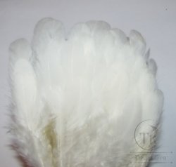 Куриное перо Hen feathers белый