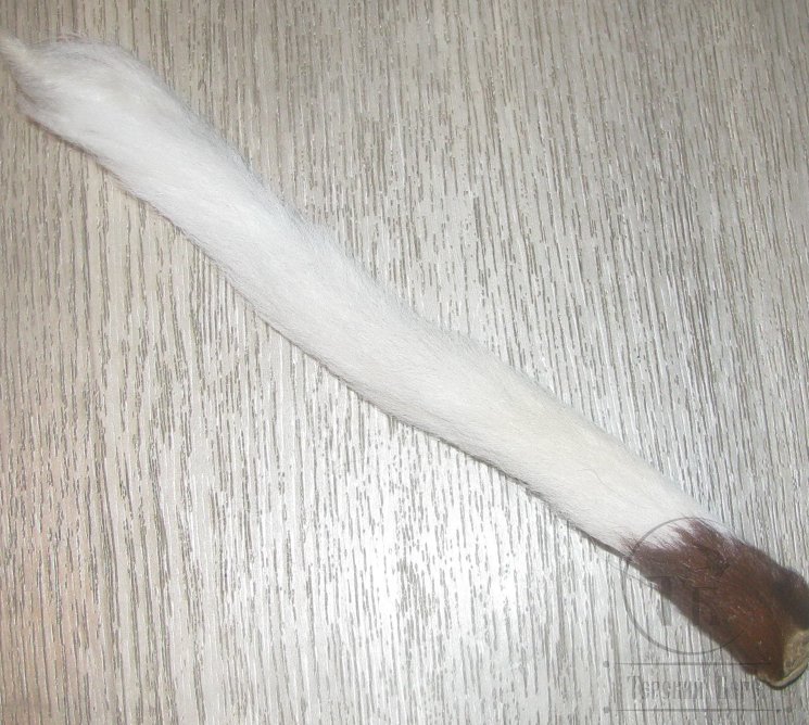 Хвост теленка белый / White