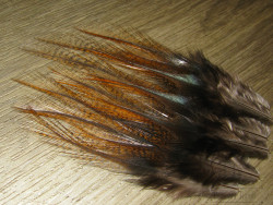 Перья из седла Feathers Coq De Leon 12f. Golden Brown короткие