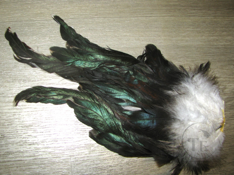 Хвост петуха целый Black Peacock Md.