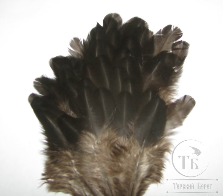 Куриное перо Hen feathers 1/4 Soft Hackle чёрный натуральный