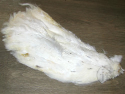 Шкура 1/2 белого фазана White Cock Pheasant Skin Natural White