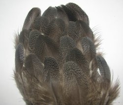 Перья глухаря со спины крупные Lg. Select Capercailli back feathers (серое рябое)