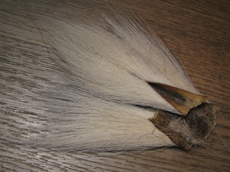Кусок хвоста оленя белый Bucktail pieces White Wapsi / Терский Берег
