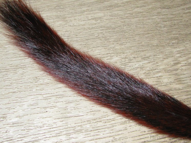 Хвост белки канадской Squirrel Tail Fiery Brown
