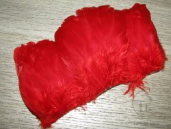 Куриное перо Hen feathers красный