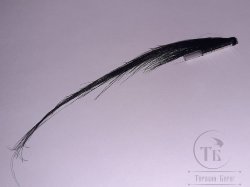Муха лососёвая ( 16 ) Collie Dog Black Head пластик 1 дюйм