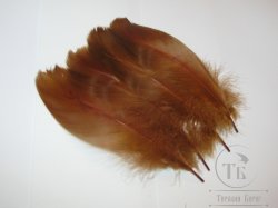 Перо лебедя Swan Sm. Golden Brown 2 пары 3-го порядка