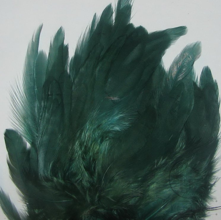 Куриное перо Hen feathers малахитовые
