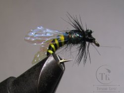 Муха оса (41) Black крючок scud № 10