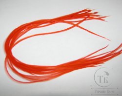 перо Dry Fly (для сухих мух) 10 шт огненно оранжевое , крючки № 10