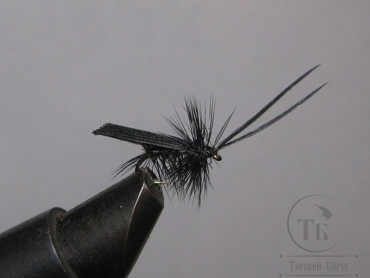 Муха сухая Dry fly ( 2 ) " Quill Wing Caddis Black "крючок № 14 ( Kumho )