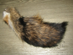 Хвост койота целый Coyote Tail