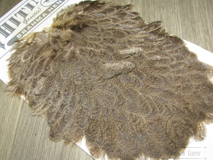 Курица седло Brahma Hen Saddle Golden Straw Whiting