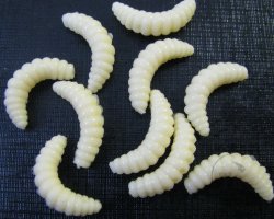 Силиконовые личинки / Sili larva Lg. Pale Yellow 23mm.