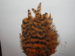 Перо петуха на коже лопаточное гризли морковное Scapulars Feathers Grizzly Carrot