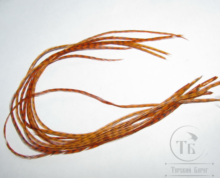  перо Dry Fly (для сухих мух) 10 шт гризли рыжий , крючки № 10 - 16