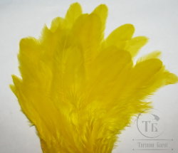 Куриное перо Hen feathers  желтое