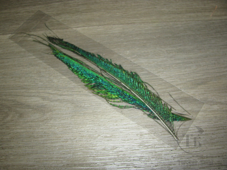 Перо павлина мечевидное Peacock Sword Natural ( 2 пары ) SM