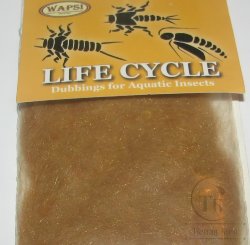 даббинг life cycle dub NYMPH ginger  Wapsi