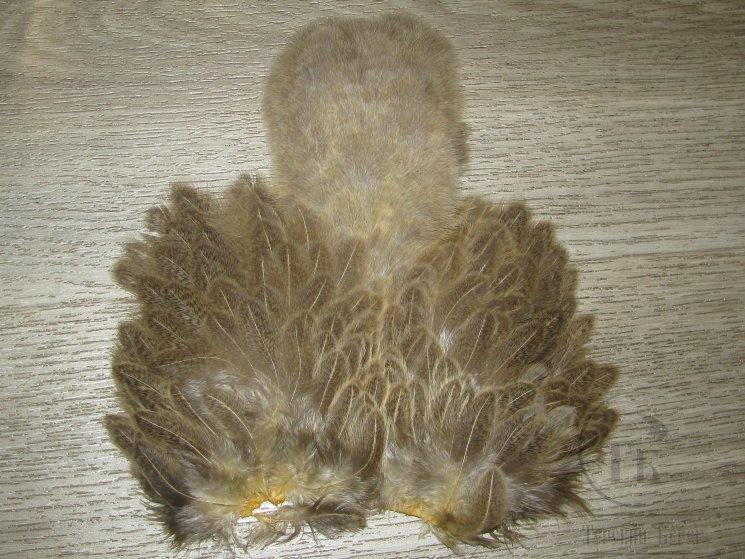 Перо курицы рябое Brahma Hen Soft Hackle  W/Chickabou  Golden Straw   Whiting