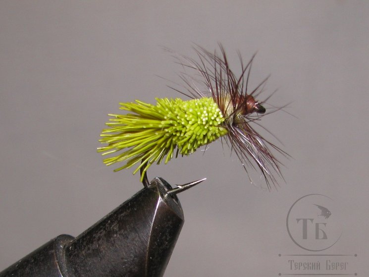 Mуха (19) Goddard Caddis Br. Olive Kumho № 12