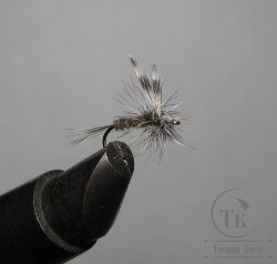 Муха сухая Dry fly Adams 03 " Adams Cl. "крючок № 14 ( Kumho )