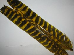 Перо индюка биот 1 пара / Turkey biot Yellow barred Терский берег 