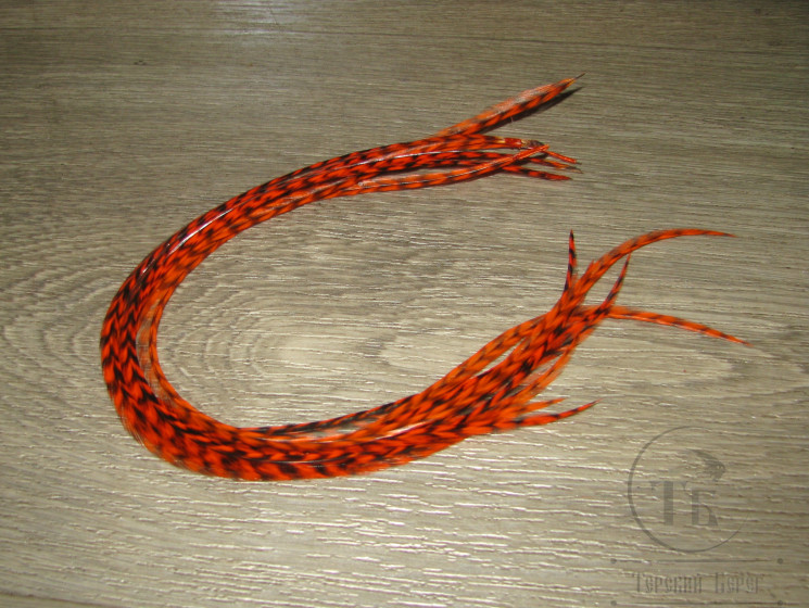 Перо Dry Fly (для сухих мух) 10 шт гризли огненно оранжевый крючки № 10-12