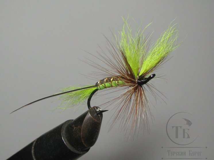 Муха лосось /  форель ( 4 ) Butterfly Chartreuse Salmon Black № 6 