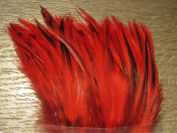 Перо скальпа петуха Баджер алый / Attractor Neck Hackle Badger Scarlet