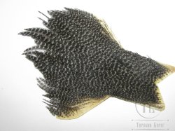 Куриные перья скальпа на коже  (верхняя часть) Dry Wet  Hen Cape American  гризли серый 