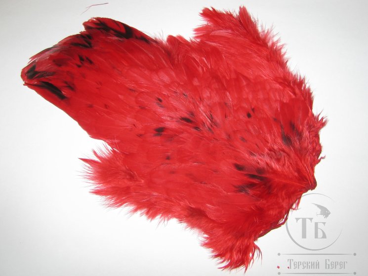 Курица седло Indian Hen Saddle Red / Красное 