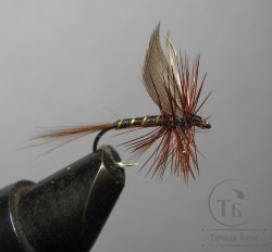 Муха сухая Dry fly  Quill DFQ 02  March Brown" крючок № 12 ( Kumho )