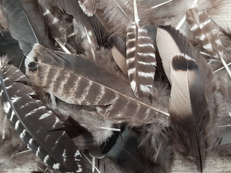 Перья индюка Turkey Feathers Natural MD MIX (40 ps)