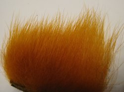 imi polar bear sunburst premium