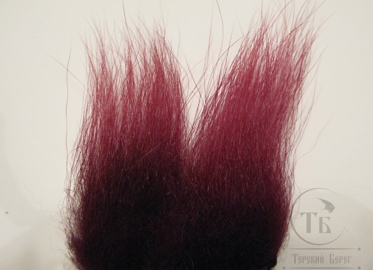 imi polar bear claret standart
