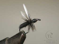 Муха муравей Ant Dif. ( 7 ) Dubb. Black Wing Kumho Dry № 10