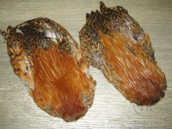 Скальп курицы Indian Hen Cape Natural Brown Barred  / Коричневый - Рябой