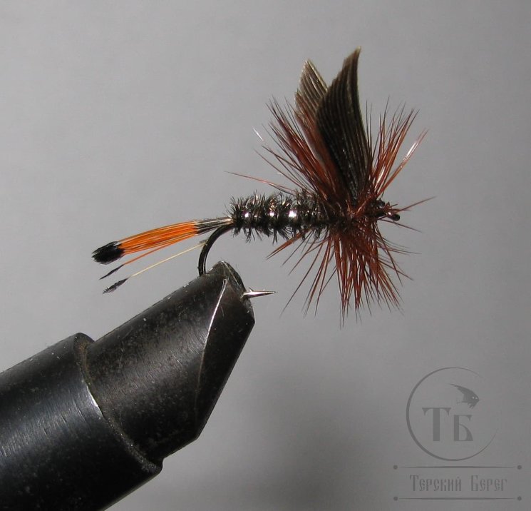 Муха сухая Dry fly  Quill DFQ 21  "Royal Coachman Dark Var. "крючок № 10 ( Kumho )