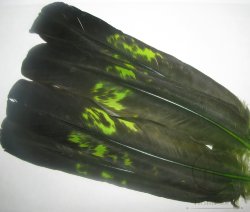Capercailli  tail feathers green (2 пары)